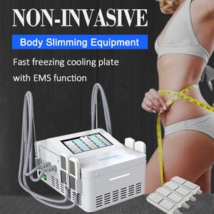 Cryolipolysis Fat Reduction Machine Anti Cellulite EMS Therapy Construire la perte de poids musculaire Amincissement sain Resserrer la courbe du corps