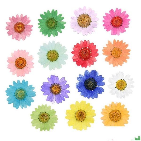 Faux Floral Verdure 120 Pcs Pressé Pressé Séché Daisy Fleur Sèche Plantes Pour Résine Époxy Pendentif Collier Fabrication De Bijoux Artisanat Diy Dhcaa