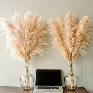 Nep bloemengroen 80-120 cm Pampasgras Grote hoge pluizige pampas gedroogde bloemen Boho Decor Plant voor vaas Thuis Bruiloft Decor Bloemstuk 230907