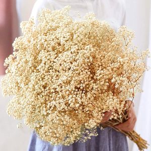 Faux bloemen groen gedroogde bloemen baby's Breath Bouquet Ivory Wit Natuurlijke Gypsophila -takken voor Home Decor Wedding Dry Bulk Vase 230331