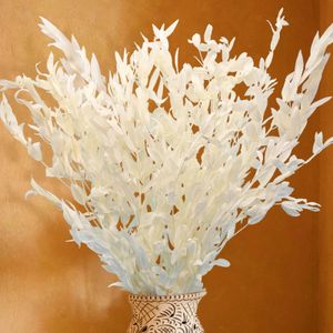 Faux verdure florale séchée, vraies tiges d'eucalyptus blanc Ruscus, feuilles naturelles fraîches conservées, pour la maison, mariage, décoration de fête Boho, bricolage 231019
