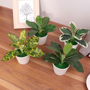 Faux Floral Verdure Mini Plantes Artificielles Bonsaï Petit Aloès Simulé Pot Plantes Fausses Fleurs Bureau Table En Pot Ornements Maison Jardin Décor 230823