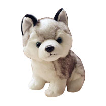 Jouets Husky Peluche Chien