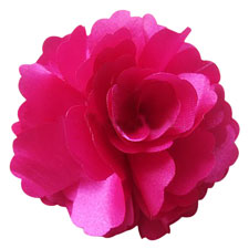 Clipes Rose flor cabelo
