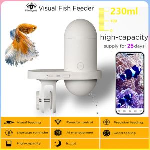 Feeder Automatic Fish Tank Feeder Intelligent Visual Timing Feeding Aquarium Goldfish Remote grande capacité Aquarium Aquarium Aquarium Accessoires