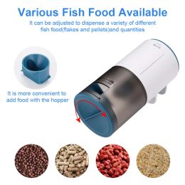 Mangeoires pour aquarium, mangeoire automatique, synchronisation intelligente, mangeoire automatique pour poissons, Koi, poisson rouge, petite mangeoire de Type fermé, mangeoire pour aquarium