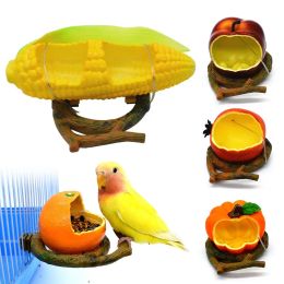 Alimentation 1Pc drôle forme de Fruit oiseau perroquet mangeoire Orange grenade nourriture eau alimentation bol conteneur mangeoires pour caisses Cages Coop animal de compagnie