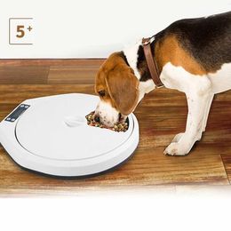 Alimentation automatique pour chien mangeoire Dispensador De Comida De Perro Gato R contrôle des portions minuterie numérique enregistreur détachable nourriture sèche et humide