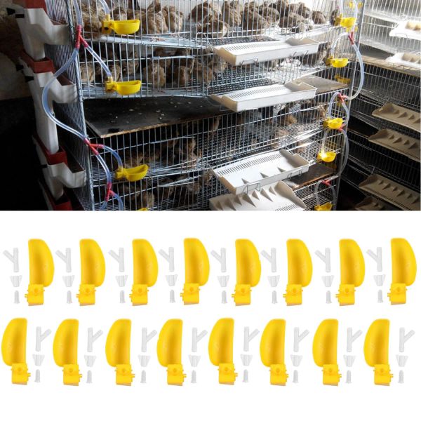 Nourrir Behogar 10 Set Yellow Birds Cage Eauveurs d'eau Feeders Cup For Bird Pireons Quails Parrots Perreau de bétail