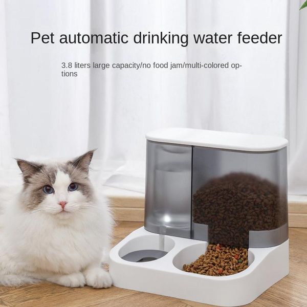 Feeding Cat Bowl Nouveau visuel automatique mangeoire pour animal de compagnie chat buveur chien bol chat bassin alimentation eau alimentation bol chien nourriture stockage seau