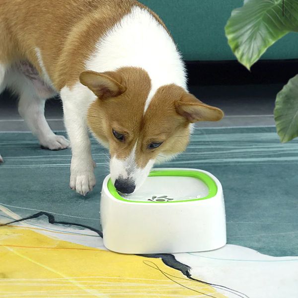 Bol d'eau anti-débordement pour chien et chat, Machine à boire non mouillante, distributeur d'eau flottante et lente, fontaine pour animaux de compagnie