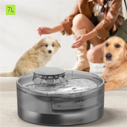 Nourrir un buveur pour chats Pet Water Fountain Waterfall Dissiner Dispensateur USB AUTO DOBER BOLLES DE BUSTIQUE PUPE D'EAU SILÉ