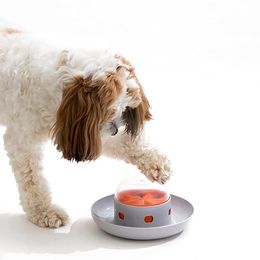 Bol d'alimentation interactif pour chien, nouveau Design, poussée pour chien et chat, alimentation lente, distributeur de collations, bol d'entraînement pour gros chien