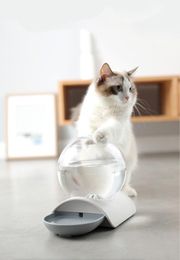 Automatische waterdispenser voor huisdieren Voorkomt natte mond. Heeft een grote capaciteit en een eenvoudig ontwerp. Geschikt voor kleine huisdieren om water te drinken.
