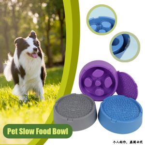 Nourrir un bol de chiens de compagnie chien lent bol de mangeur lent chiot chat lent à manger du bol à vaisselle assiette alimentaire l'alimentation du chien