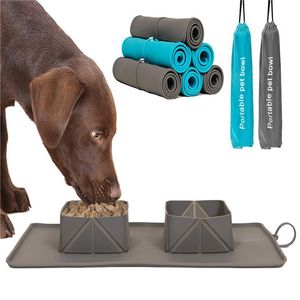 Bol pliant en Silicone pour animaux de compagnie, bol d'alimentation d'extérieur à double usage, mangeoire automatique, bol pour chat et chien, fournitures pour animaux de compagnie