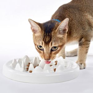 Bols d'alimentation pour animaux de compagnie, bols à alimentation lente pour chat, bol d'alimentation amusant en céramique Anti-étouffement, arrêt interactif des ballonnements, Puzzle pour chien et chiot, régime alimentaire sain