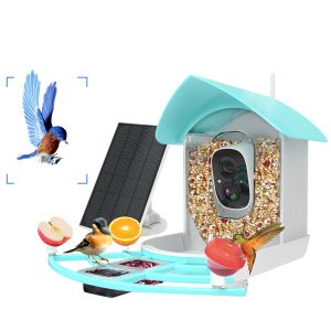 Mangeoire solaire intelligente pour oiseaux, avec caméra 1080HD, Vision nocturne, reconnaissance AI, connexion d'alimentation pour espèces d'oiseaux, Capture automatique
