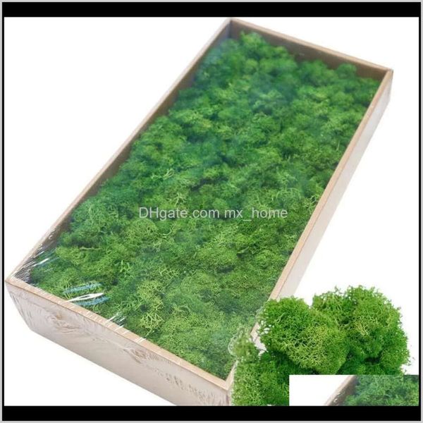 Fête festive Gardenhigh Wreaths Supplies Quality Artificial Green Plant Immortal Fake Flower Moss Grass Home Room Room Decorative Wall DIY