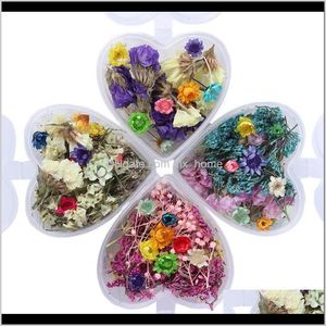 Feestelijke feestartikelen Home Garden1Box Epoxy Filler Real Dried Flower Gemengde 3D Nail Stickers Decor Herbarium Craft Decoratieve bloemen Warrel