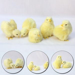 Fournitures de fête de fête Simulation mignon poussin en peluche jouet Pâques réaliste poupée animale bébé cadeau d'anniversaire éducation précoce cognitif enfants modèle d'enseignement LT0095