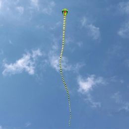 Kite de fibra de vidrio reutilizable kites de forma de animal patio delantero regalos de cumpleaños juguete