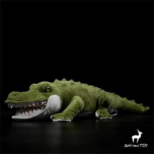 Fidélité Anime mignon peluche Alligator jouets en peluche animaux réalistes Simulation peluche poupée Kawai jouet cadeaux pour enfant 231220
