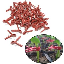 Film 50 stks Plant zowingclip Plastic tuinierengereedschap voor komkommer aubergine watermeloen, ronde mond platte mond antifall klem