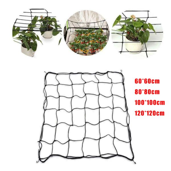 Film jardin treillis arbre fruitier protection élastique Scrog plantes grimpantes filet maille hydroponique cultiver tente plante Support treillis filet