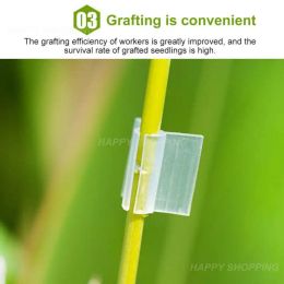 Film Plante Greffing Clip Tool de jardinage en plastique pour le concombre Autorité à la pastèque, bouche ronde plate bouche antifall Clamp Plant Plante