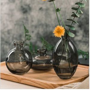 Films 3-delige woonkamer transparante bloemen decoratie terrarium decor licht luxe mini vaas set ambachten setup desktop