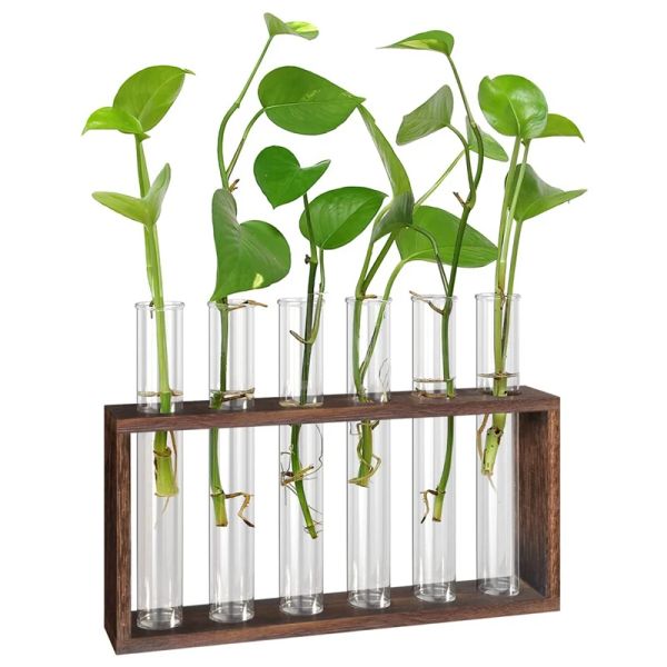 Films Terrarium de plantes avec support en bois, Station de Propagation de plantes vivantes suspendues au bureau/au mur, jardinières, Tubes en verre hydroponiques