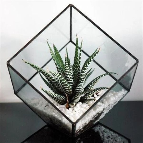 Kit de Terrarium en verre à souder en forme de Cube, Vase à fleurs créatif, pots de fleurs en verre pour la maison, jardin, décoration de mariage