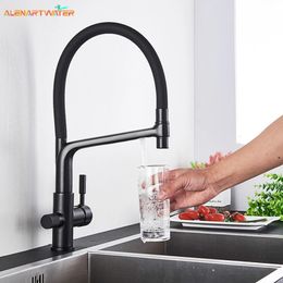 Filtre robinet de cuisine noir double bec robinet d'eau potable mélangeur 360 degrés Rotation fonction de Purification d'eau froide robinet 240122
