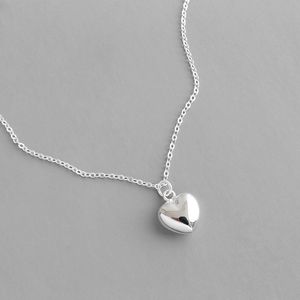 Fijne sieraden hart hanger ketting authentieke 925 sterling zilveren kettinghonden lange ketting liefde kettingen voor vrouwen