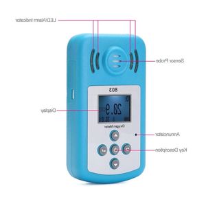 Livraison gratuite Détecteur de concentration d'oxygène fin (O2) Mini compteur d'oxygène Testeur d'O2 Analyseur de gaz avec écran LCD et alarme sonore Htgdw