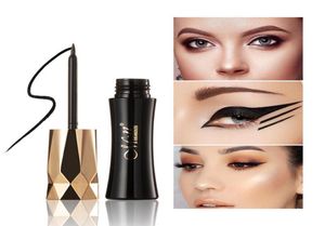 Fijne textuur en een gladde koel Black QuickDrying Langdurige vloeibare eyeliner waterdicht en niet gemakkelijk om eyeliner TSLM12317129 te smeden