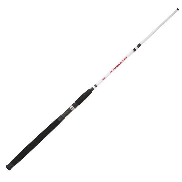 Accessoires de pêche Berkley 6 Big Game Casting Rod, une pièce, près du littoral, livraison directe, Sports de plein air, pêche Dh5Lj