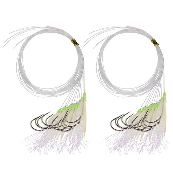 Hameçons de pêche 2 cordes hameçons à cordes pré-attachés Sabiki poisson mouches peau flasher plate-forme avec tête lumineuse lueur