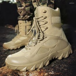 Fitnessschoenen Beige Big Size48 Militaire en tactische laarzen voor herentraining Hoge kwaliteit Combat Bot Infantry Askeri Army Waterdicht