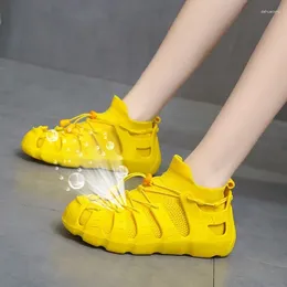 Chaussures de fitness hkxn 2024 Fashion printemps respirant des femmes décontractées baskets coréennes sportives vulcanize t