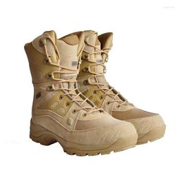 Chaussures de fitness Bottes de combat super légères Forces spéciales Botas militaires pour hommes Printemps Automne Alpinisme en plein air Chasse Randonnée Entraînement