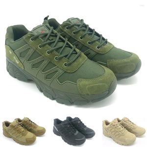 Chaussures de fitness TaoBo 2024 Bottes de randonnée ultra légères pour hommes coupe basse vert militaire désert tactique combat escalade baskets à lacets