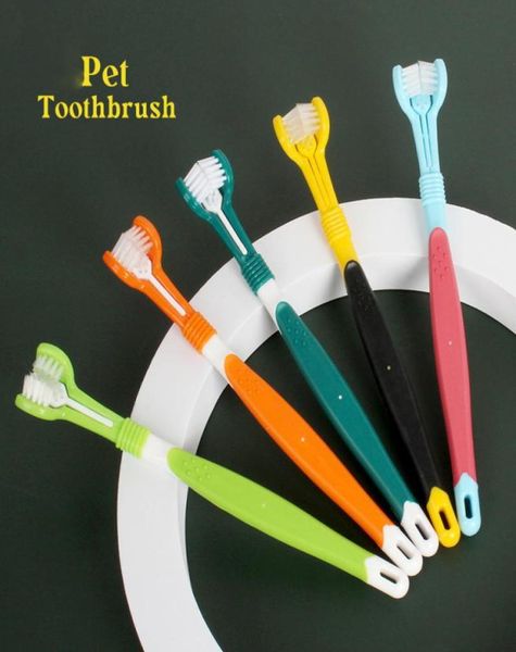 Cinq couleurs pour chiens toilettage outil de brosse à dents pour animaux de compagnie pour éliminer les chiens de soins dentaires tartre de mauvaise haleine chats de la bouche propre xg0059830414