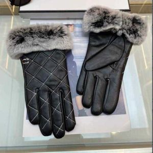 Vijf vingers handschoenen Designer handschoenen Wanten voor dames Winter Schapenvacht Leer Dik Warm Rijden Echt leer handschoen Fleece binnenkant Konijnenbont motorfiets Ski