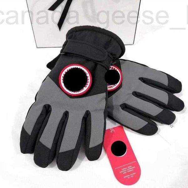 Cinq doigts Gants Designer Luxe Extérieur Chaud Plein Doigt Écran Tactile Pour Hommes Femmes Hiver Coupe-Vent Imperméable Antidérapant Épaissi Gant De Conduite À L'épreuve Du Froid