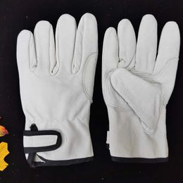 Vijf vingers Handschoenen Koreaanse versie Driver Handschoenen Outdoor Soft Sheepskin Leather Duurzame slijtvaste laswerkverzekering handschoenen 230818