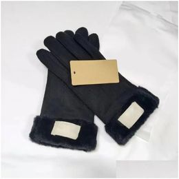 Cinq doigts gants nouveau design fausse fourrure style gant pour femmes hiver extérieur chaud cuir artificiel en gros drop livraison mode ac dheu2