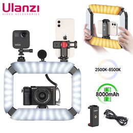 Flash Brackets Ulanzi U200 U 200 Smartphone Video Rig LED Light 2 In 1 Ring Cold Shoe voor Microfoon Tiktok Live 230823