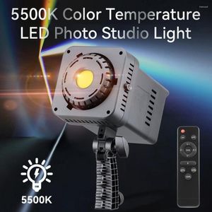 Têtes de flash 100W LED Video Studio Light Pography Lamp 5500K Support Bowens continu pour l'enregistrement de portraits